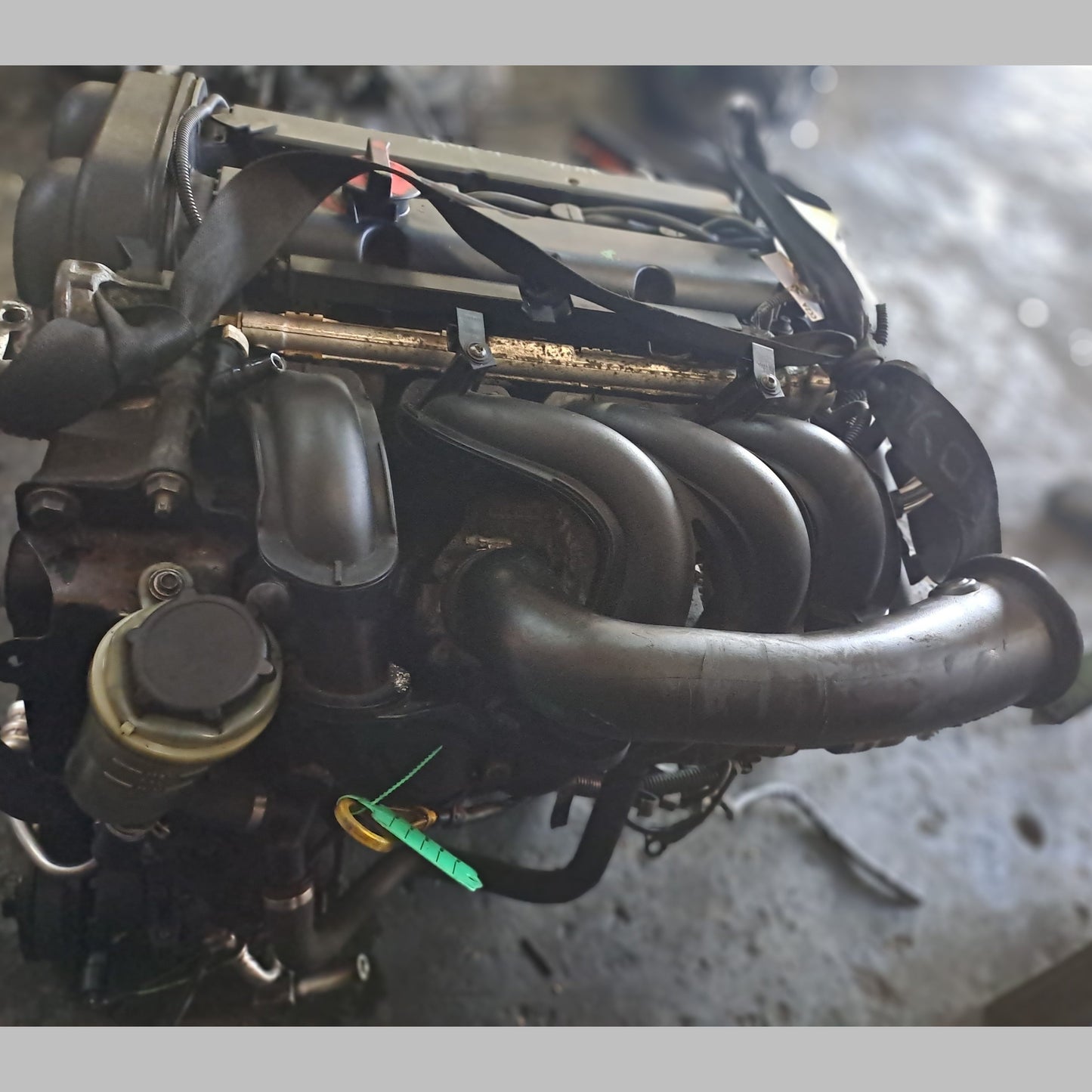HWDA | Ford Focus - Fiesta 1.6L Engine