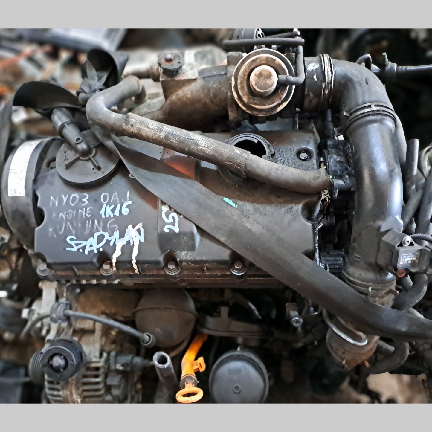 AUY | ASZ | Volkswagen Polo - Golf - Jetta - 1.9 Tdi Engine