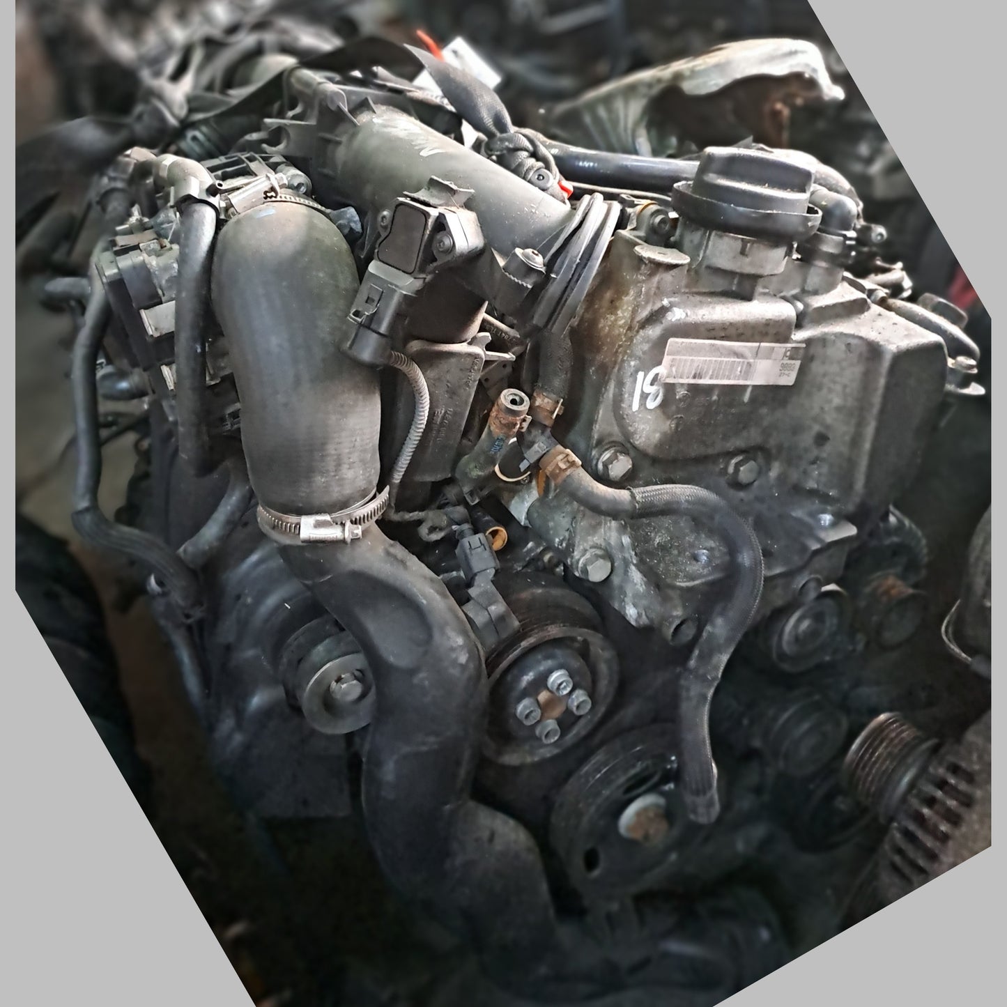 BMY | Volkswagen Engine