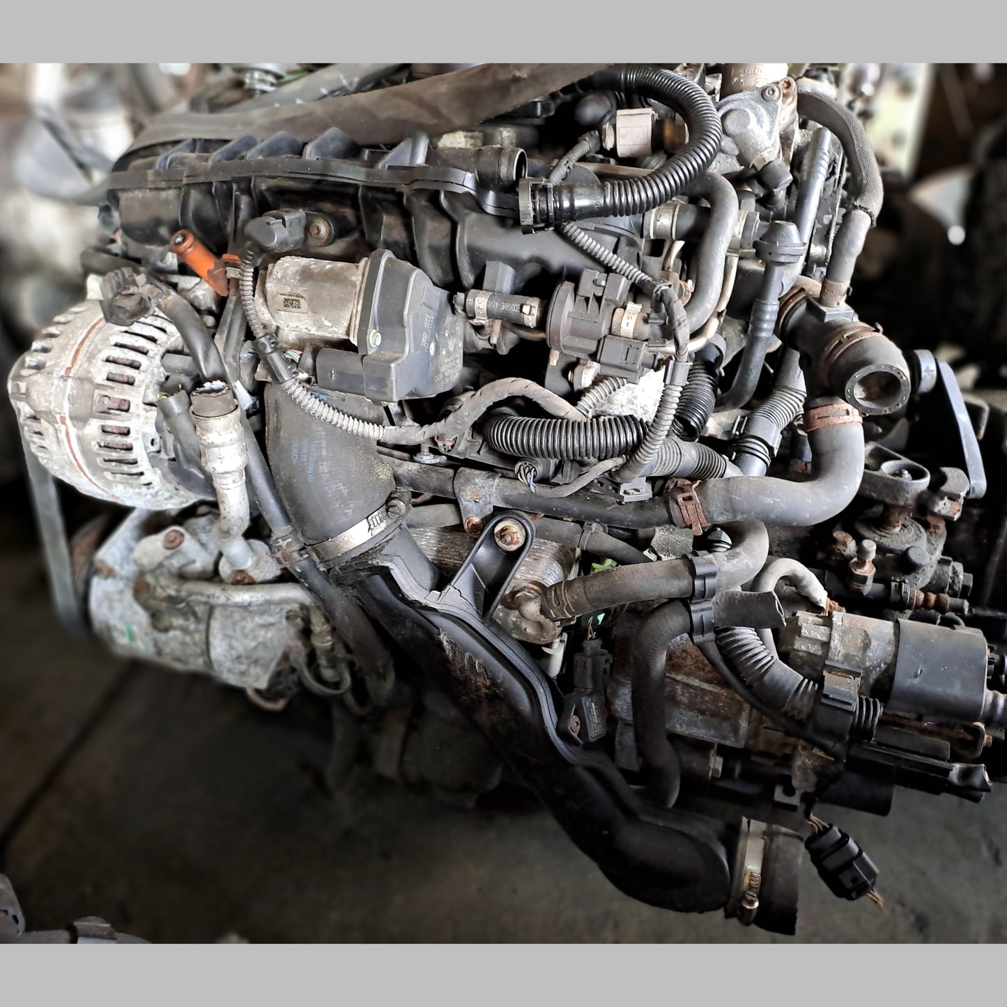 BWA | Volkswagen Golf - Seat Altea Engine