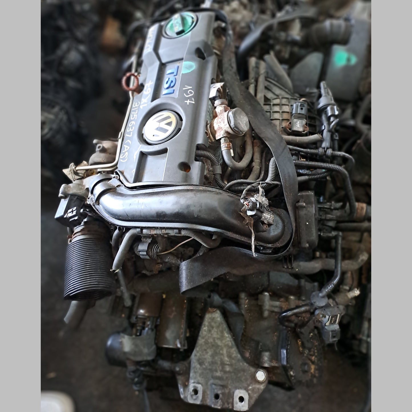 CAX | Volkswagen Golf - Tiguan - Jetta - 1.4 Tfsi Engine