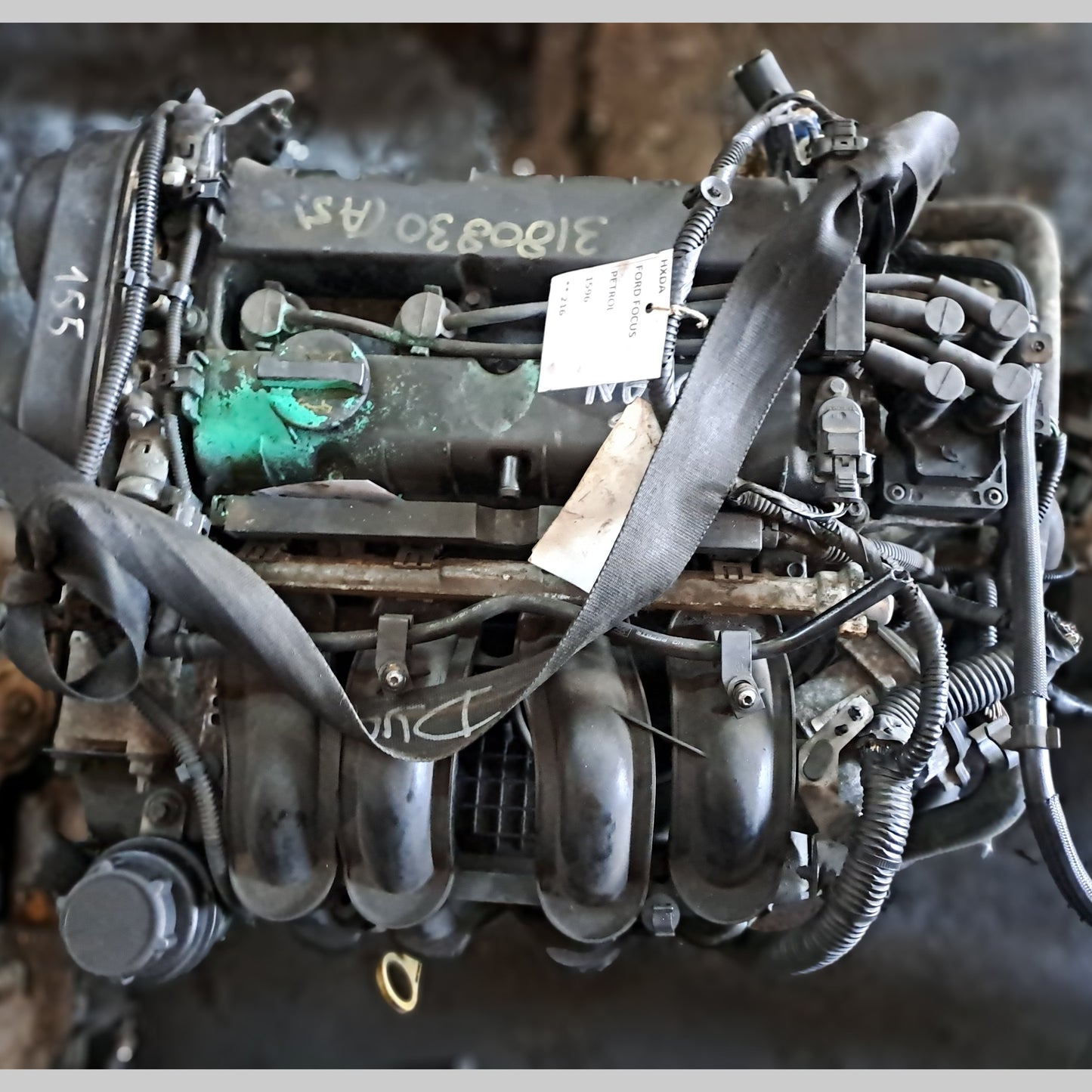 HXDA | Ford Focus  - Fiesta 1.6L VVTi Engine