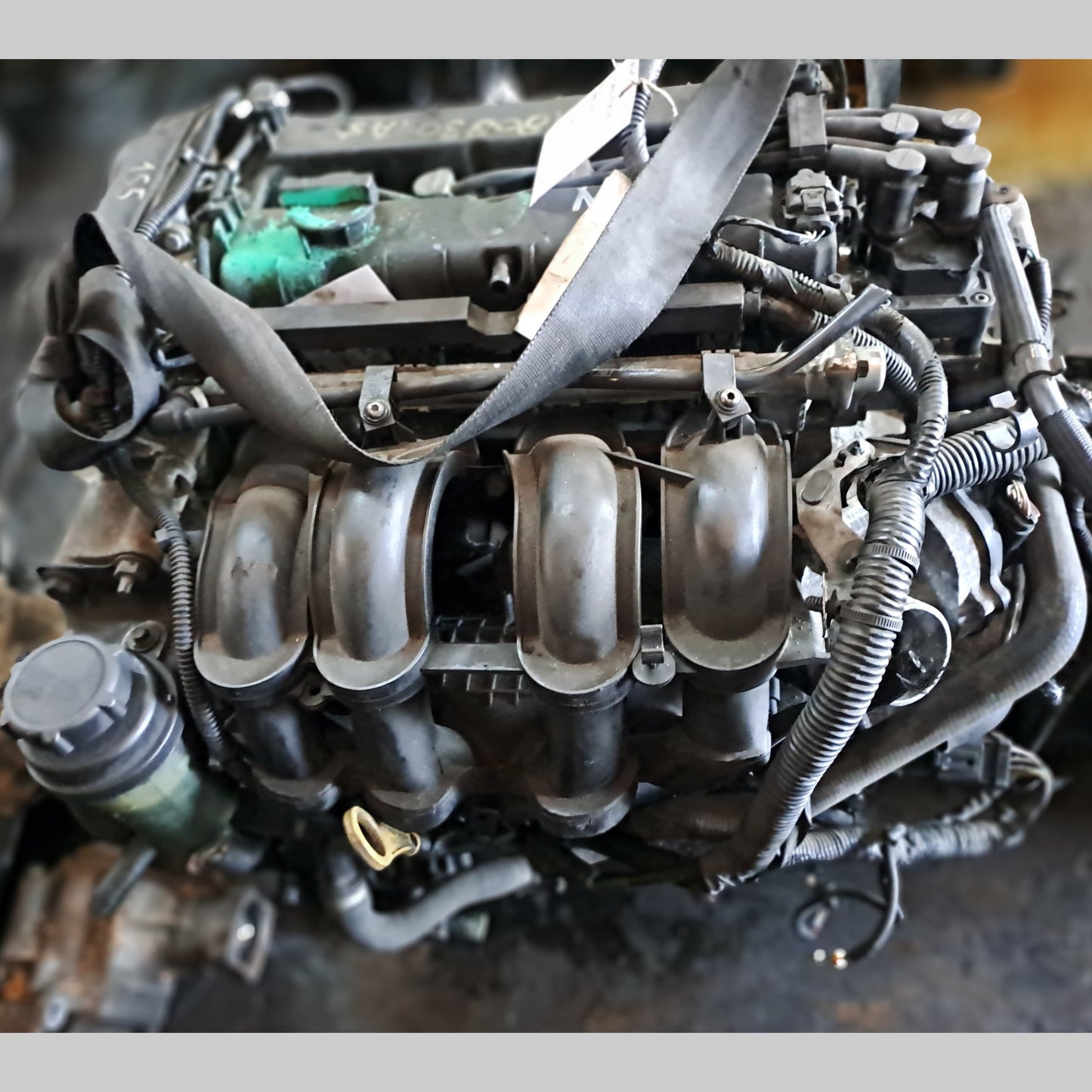 HXDA | Ford Focus  - Fiesta 1.6L VVTi Engine