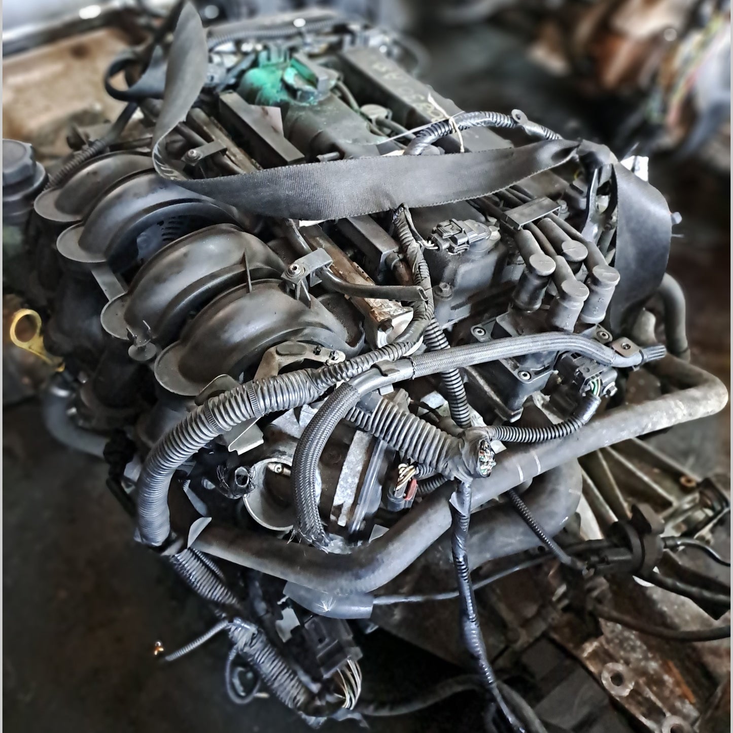 HXDA | Ford Focus  - Fiesta 1.6L VVTi Engine