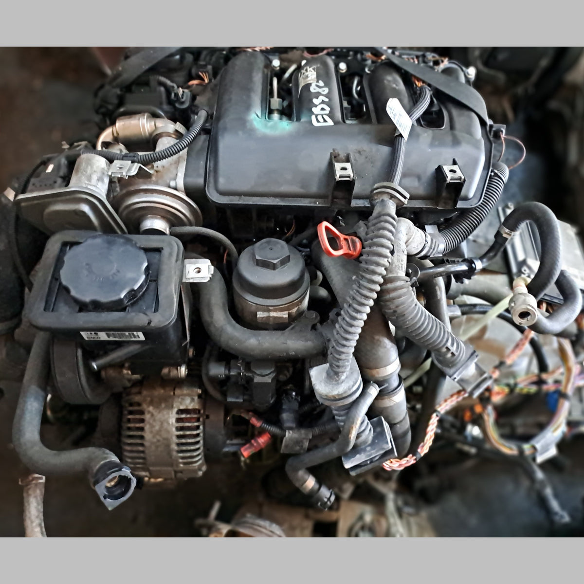 M47 | BMW 320D 2L - 5 Series Engine